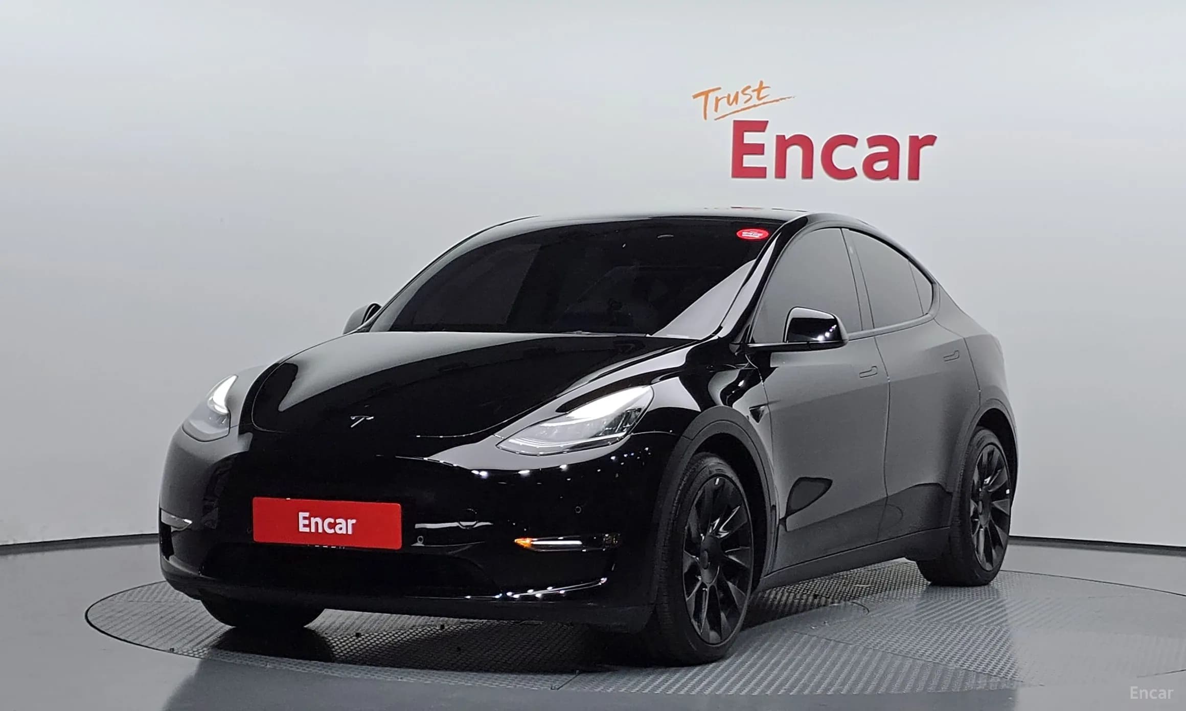 Model Y