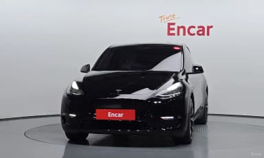 Model Y