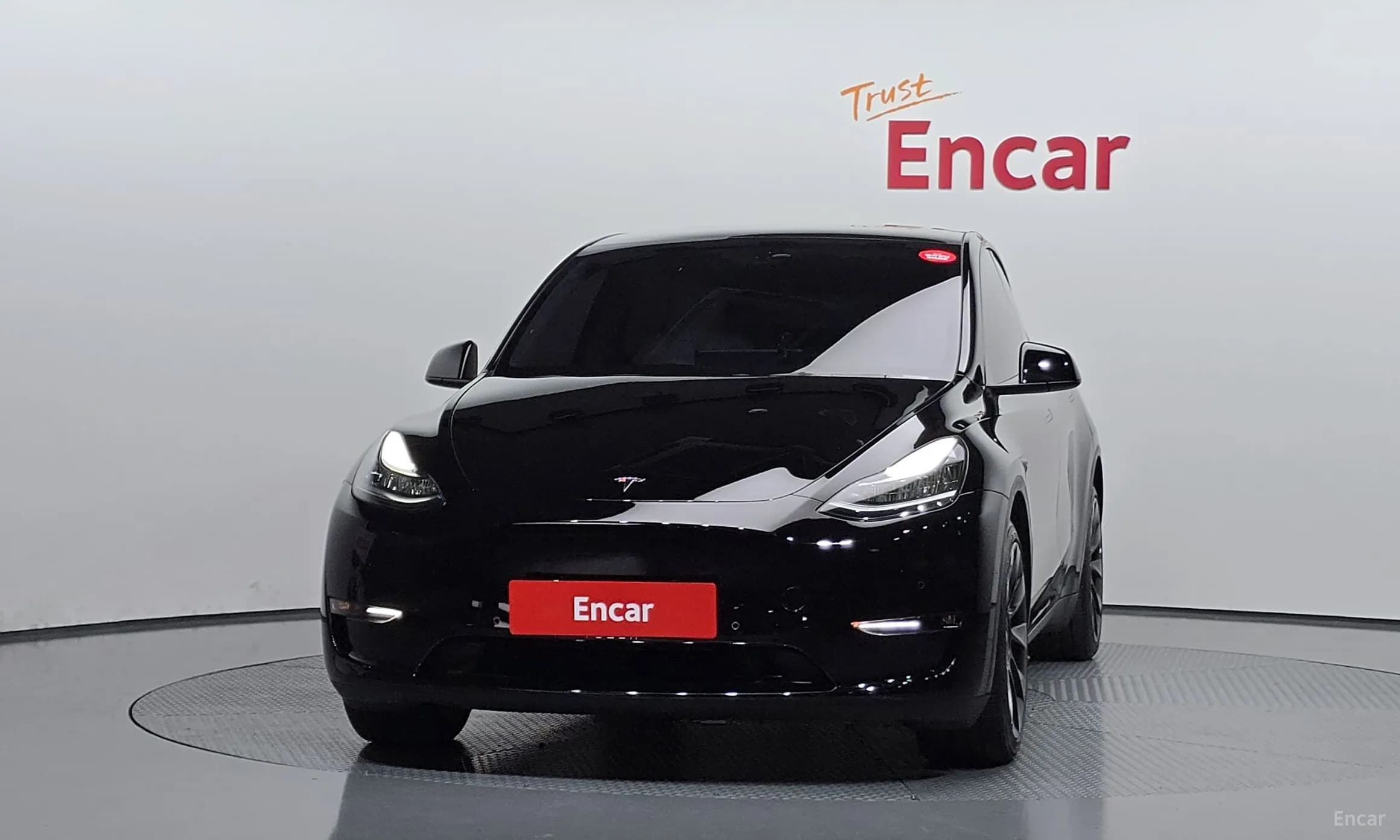 Model Y