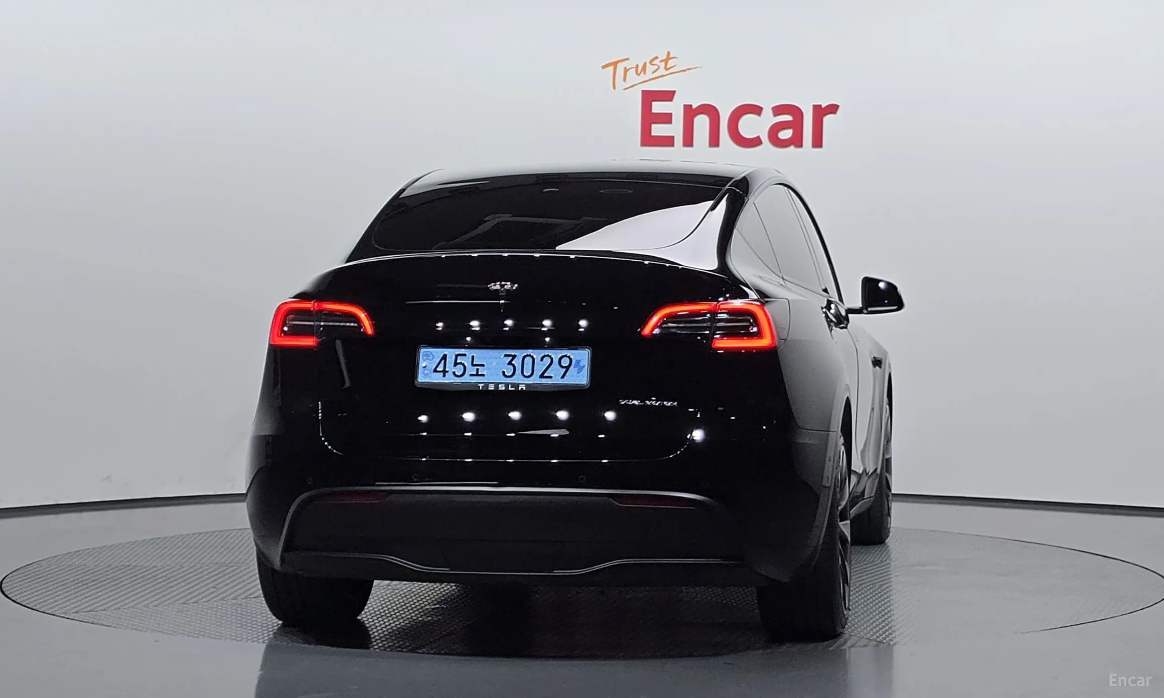 Model Y