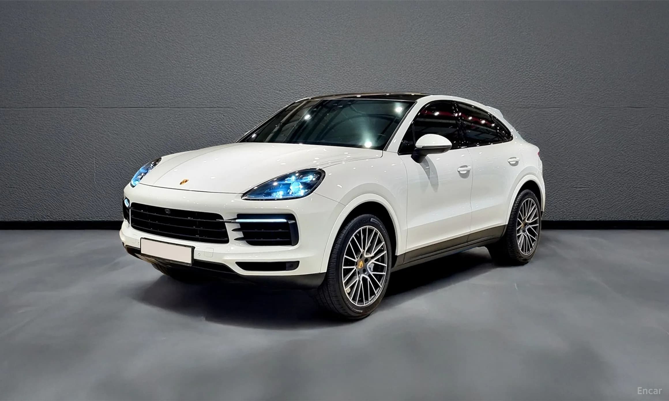 Cayenne (PO536)