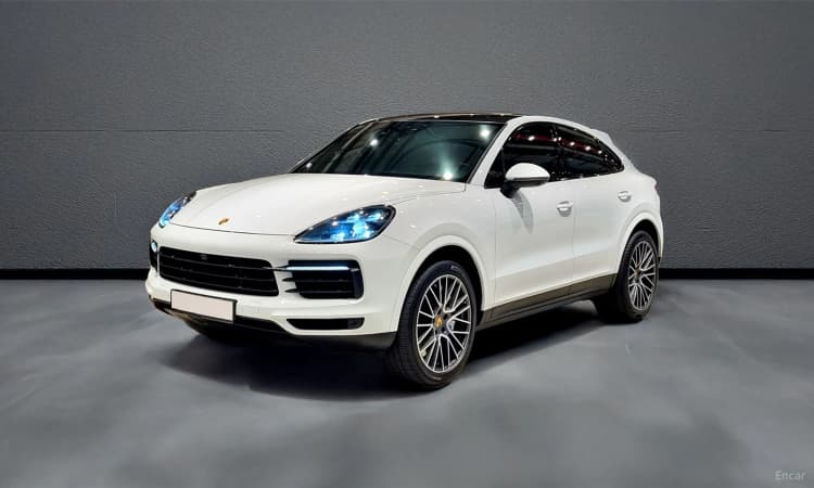 Cayenne (PO536)