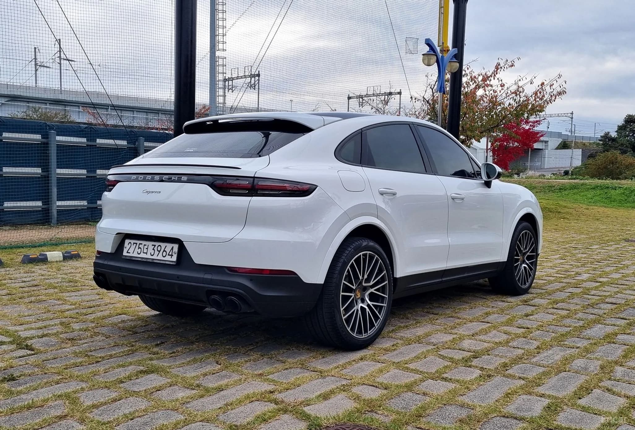 Cayenne (PO536)