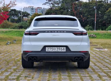 Cayenne (PO536)