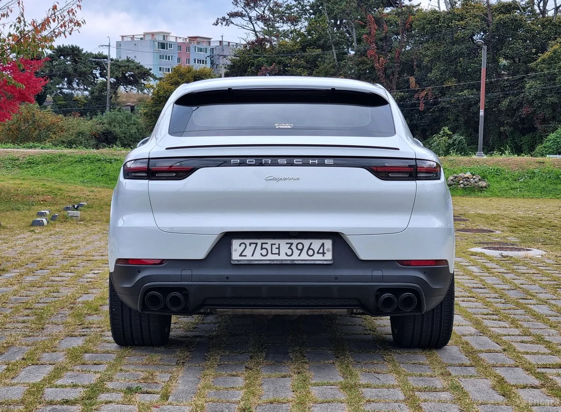 Cayenne (PO536)