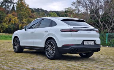 Cayenne (PO536)
