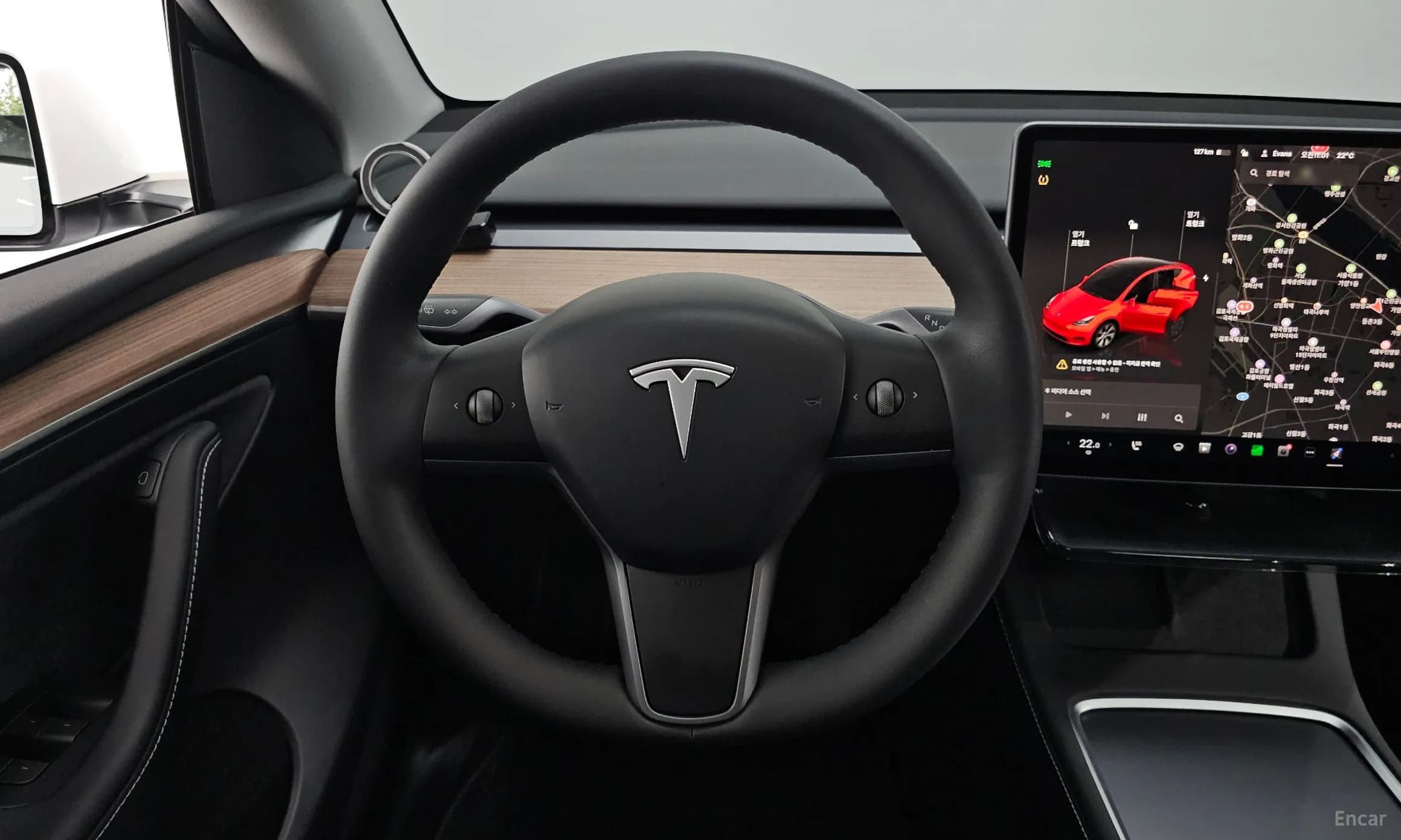 Model Y