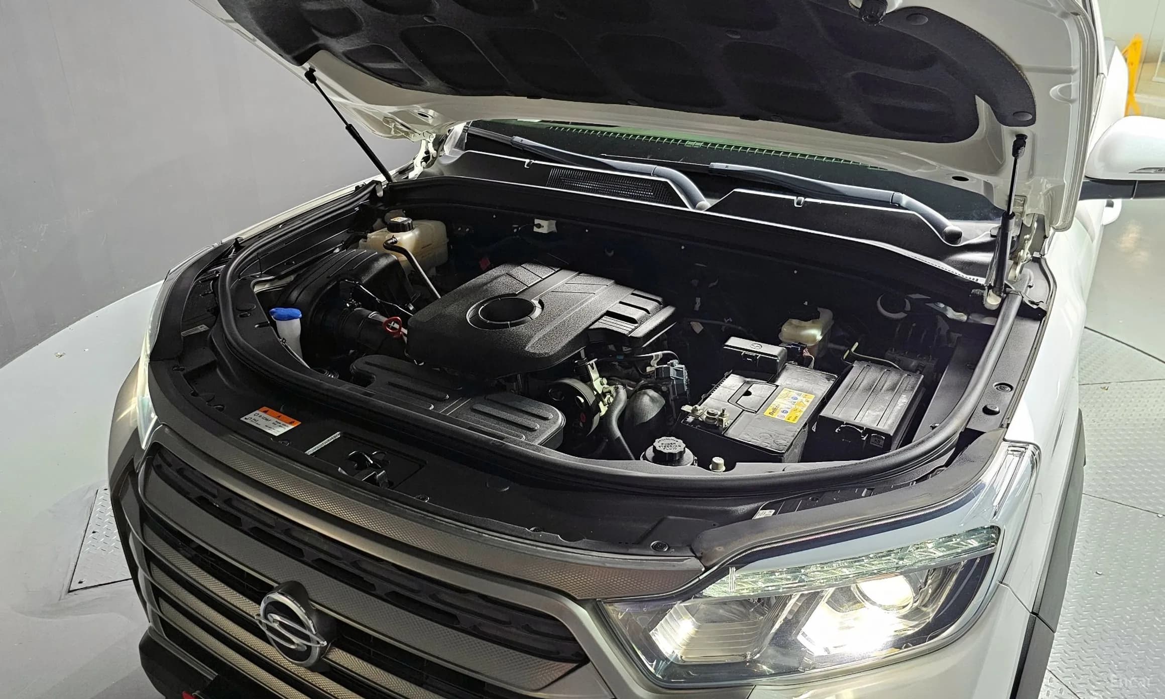 Rexton Sports