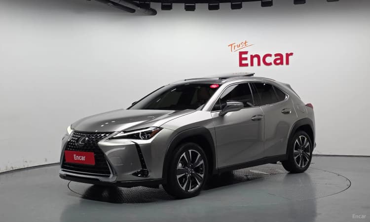 UX250h