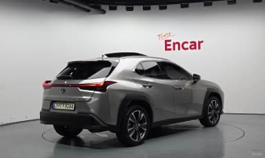 UX250h