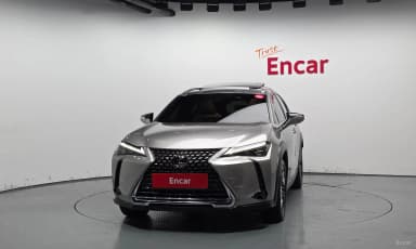 UX250h