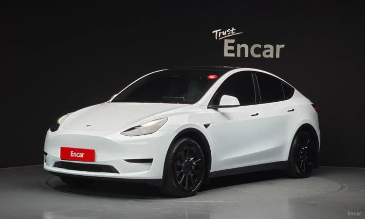 Model Y