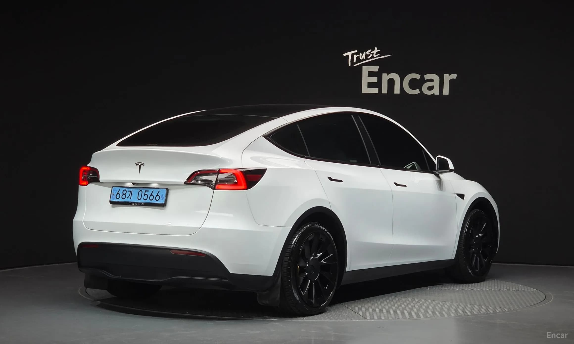 Model Y