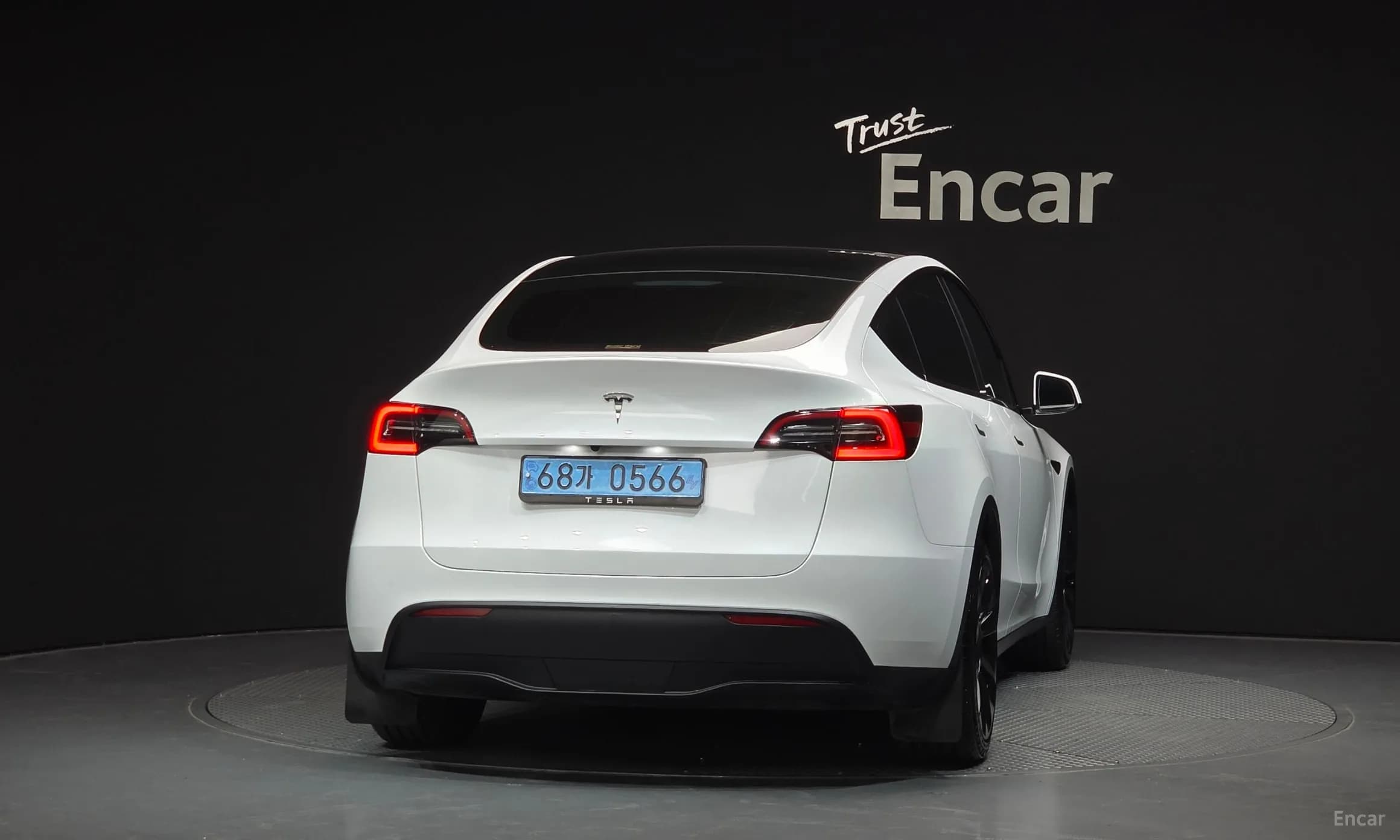 Model Y