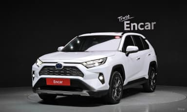 RAV4 5th Generation