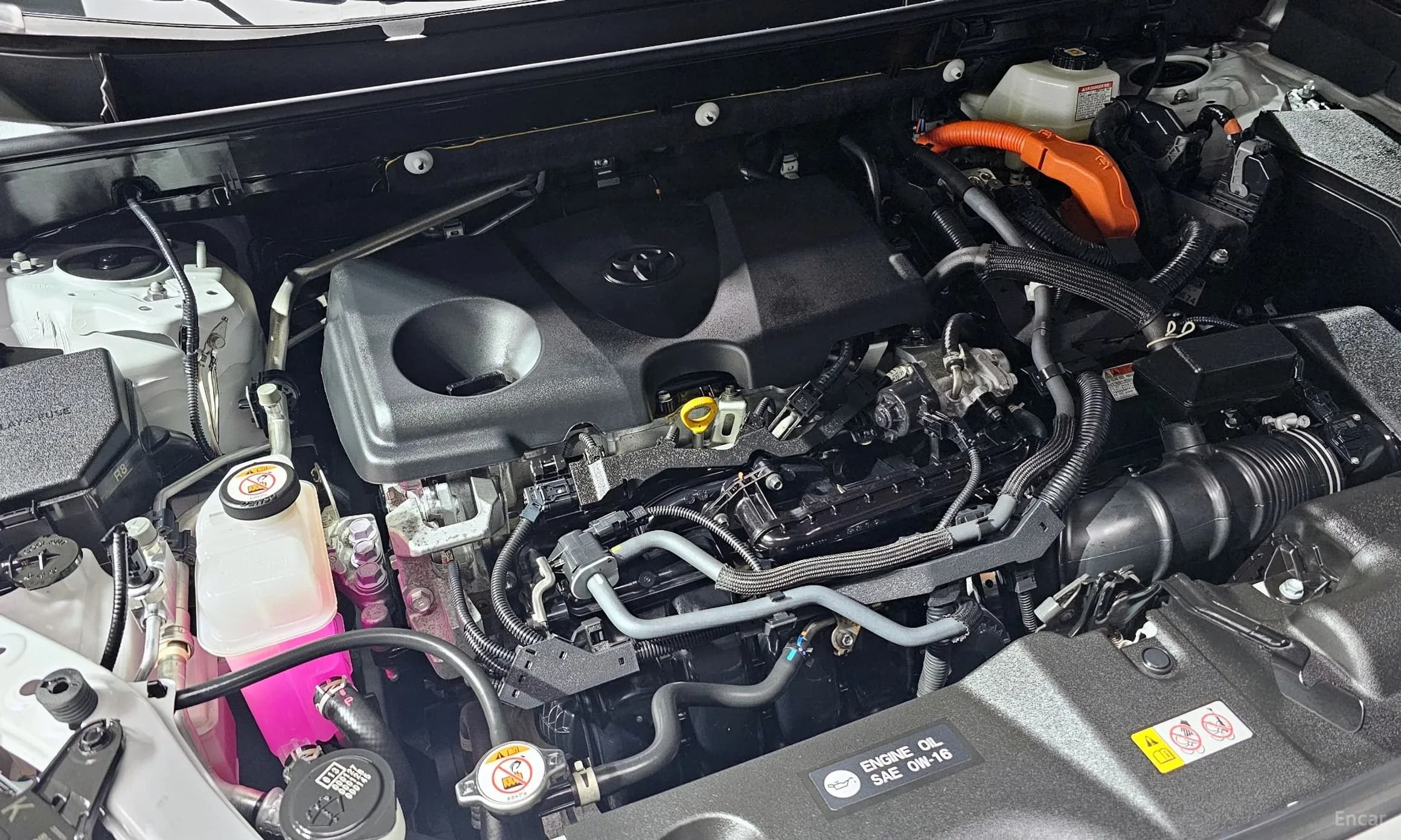 RAV4 5th Generation