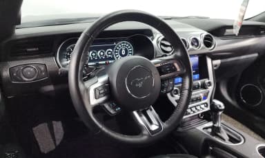 Mustang