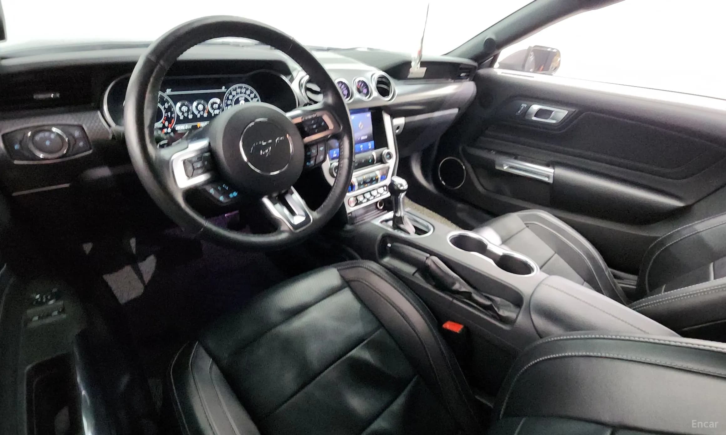Mustang