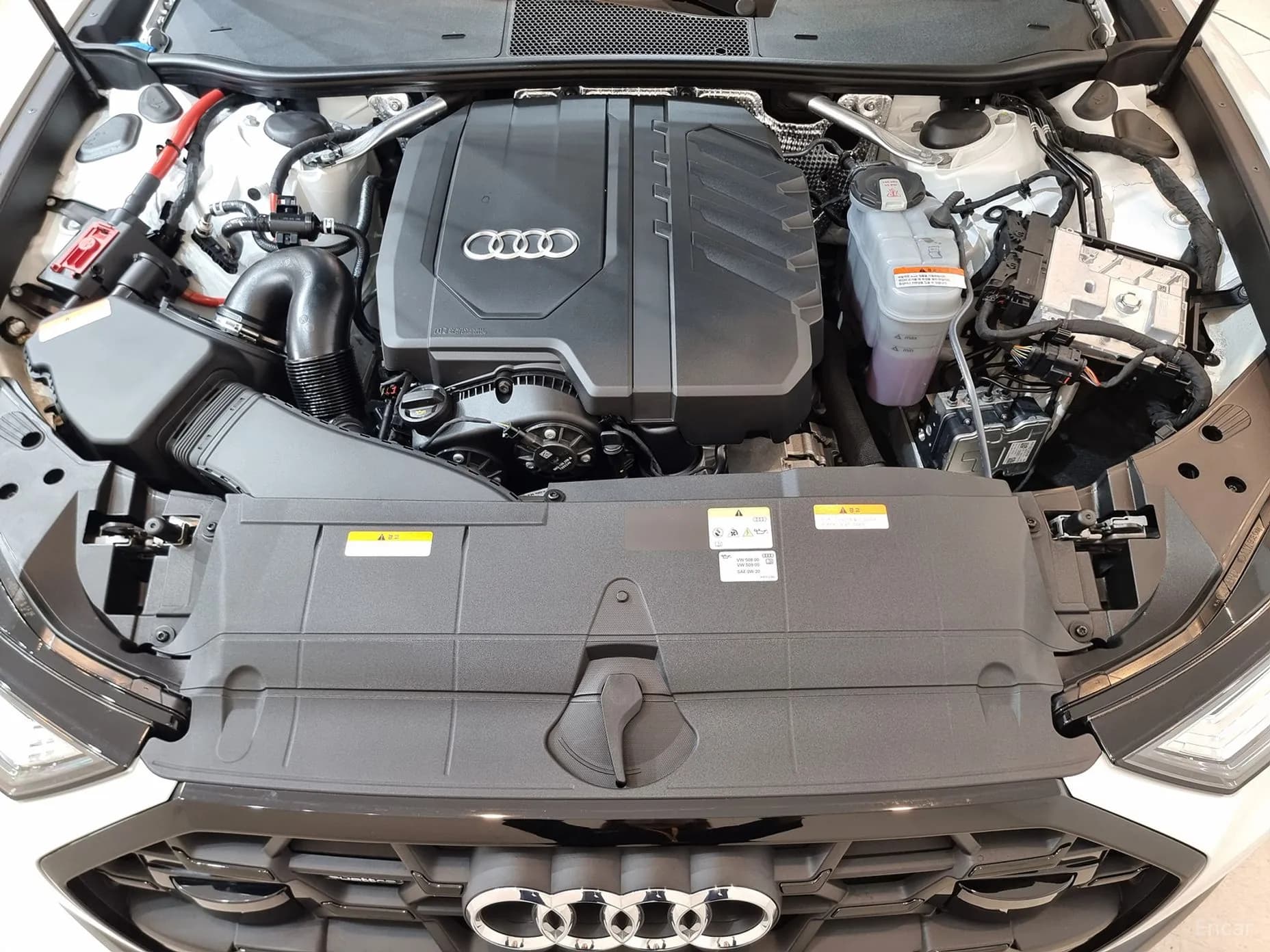 A6 (C8)
