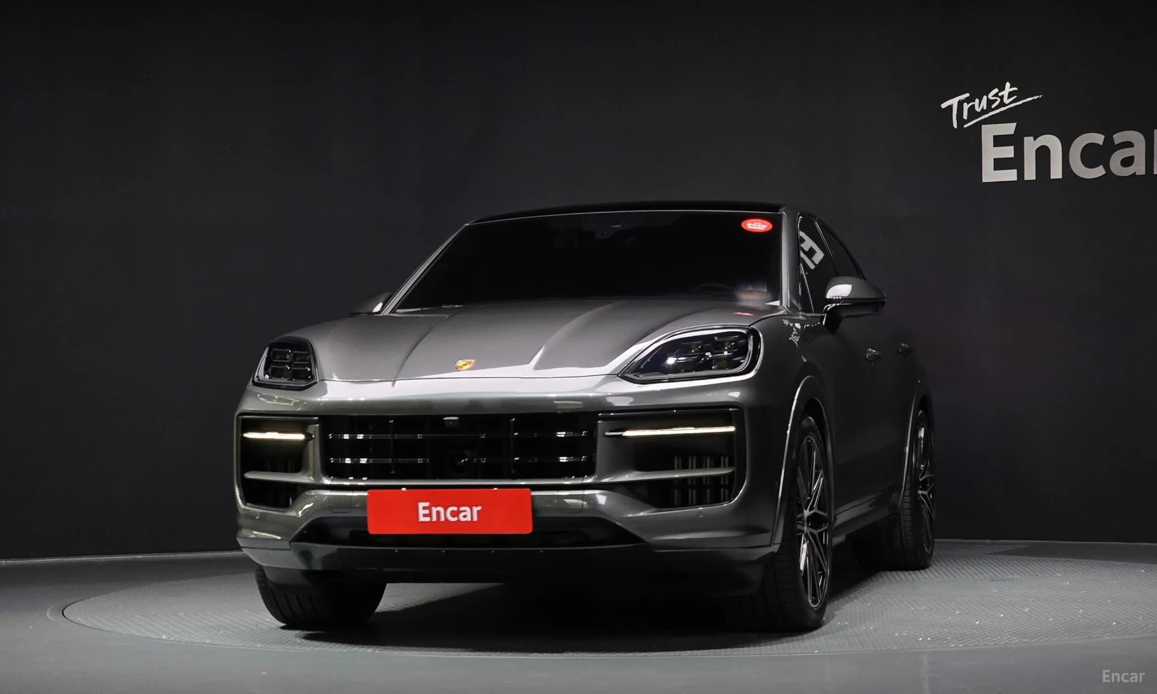 Cayenne (PO536)