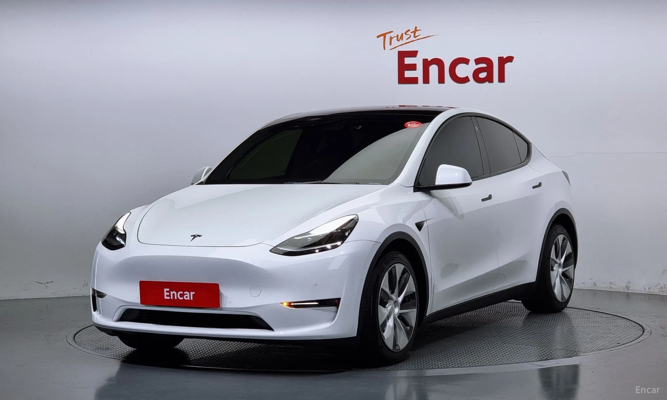 Model Y