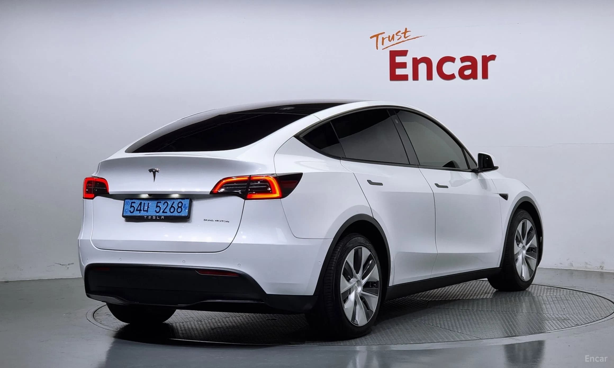 Model Y