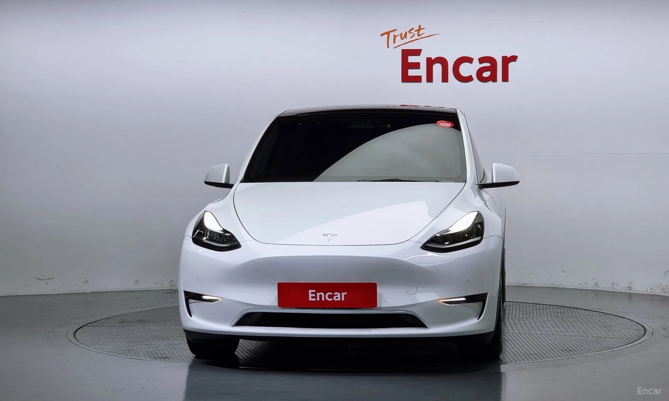 Model Y
