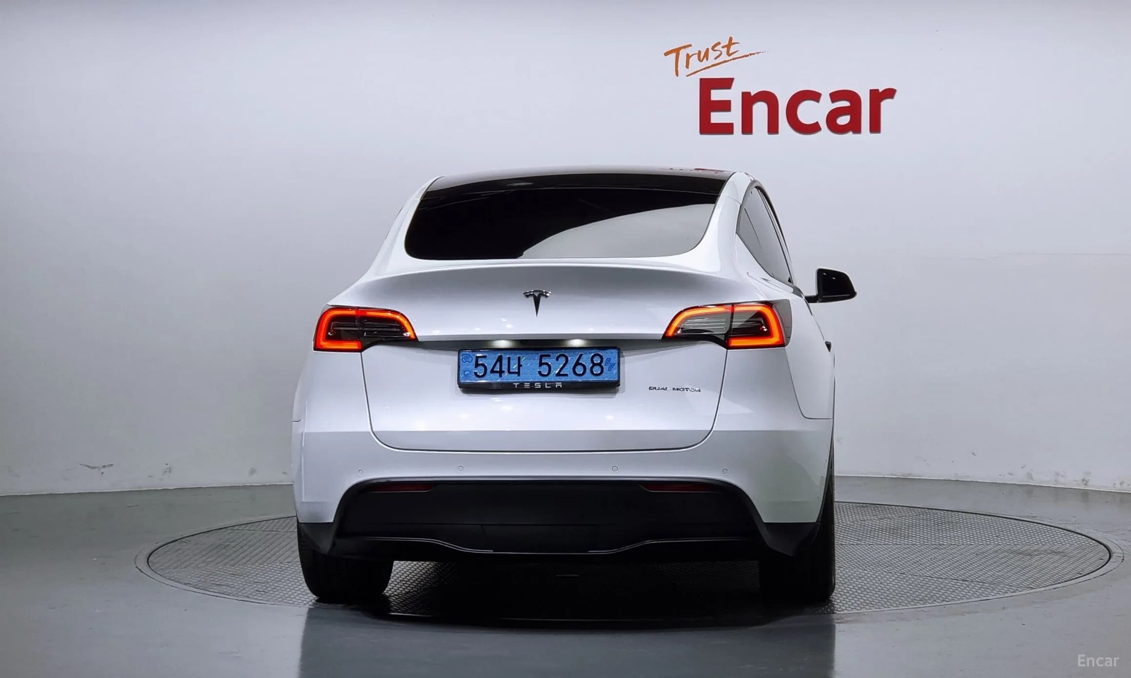 Model Y