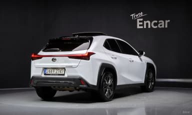 UX250h