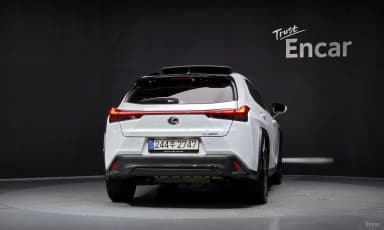 UX250h