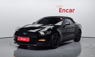 Mustang
