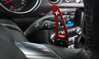 Mustang