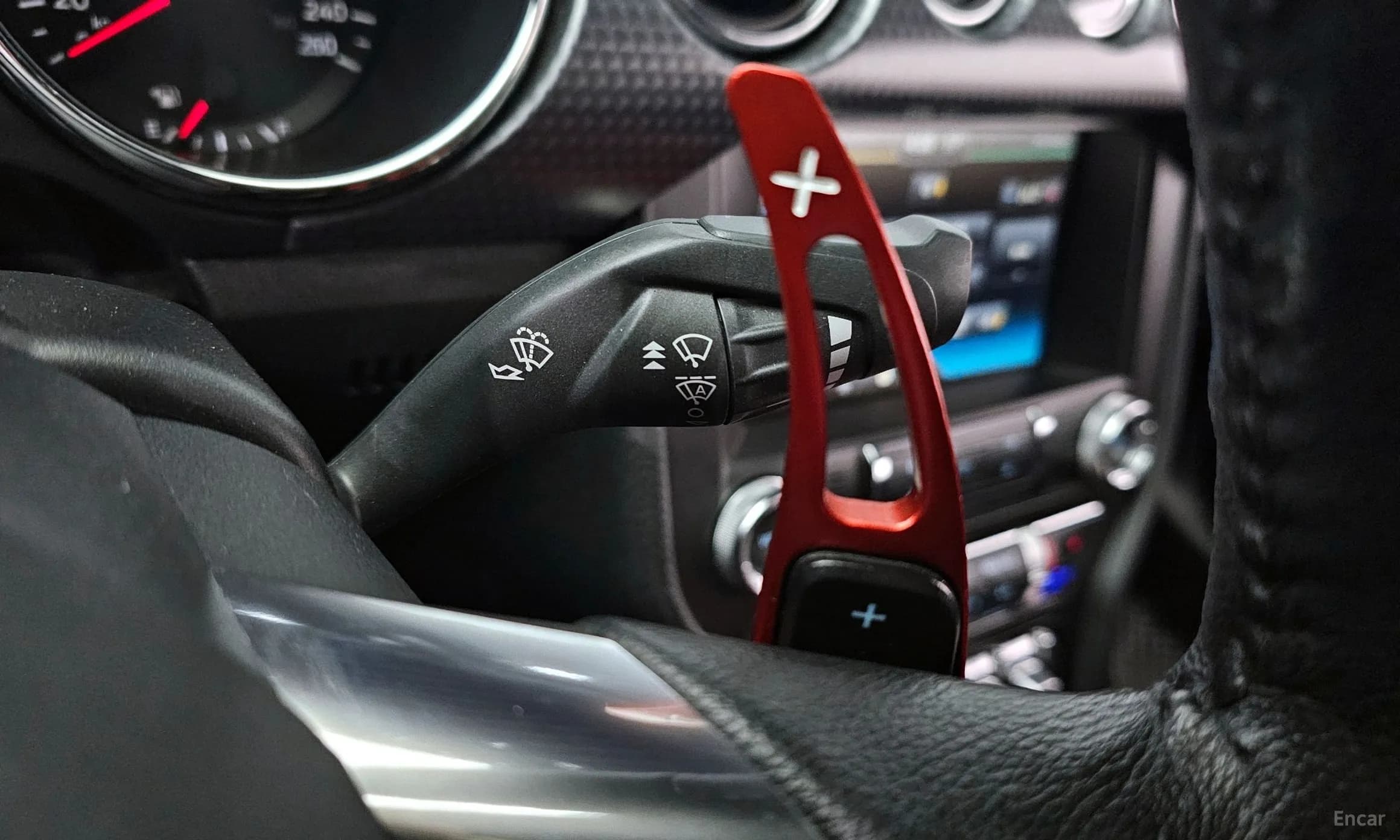 Mustang