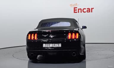 Mustang