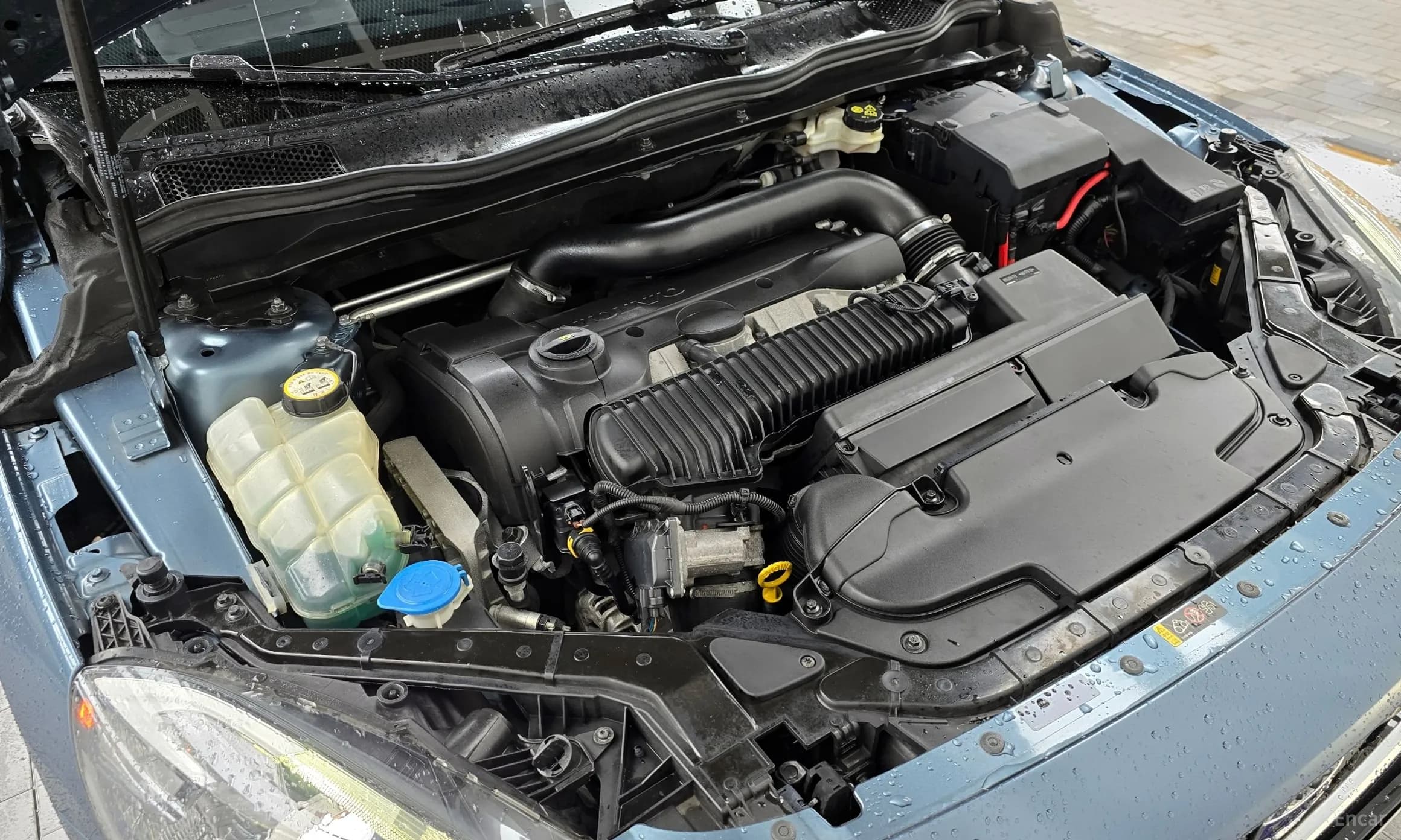 V40