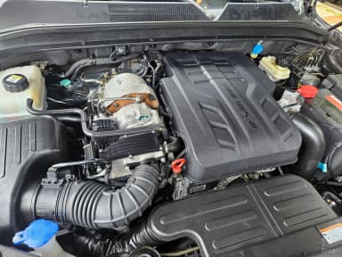 Rexton Sports