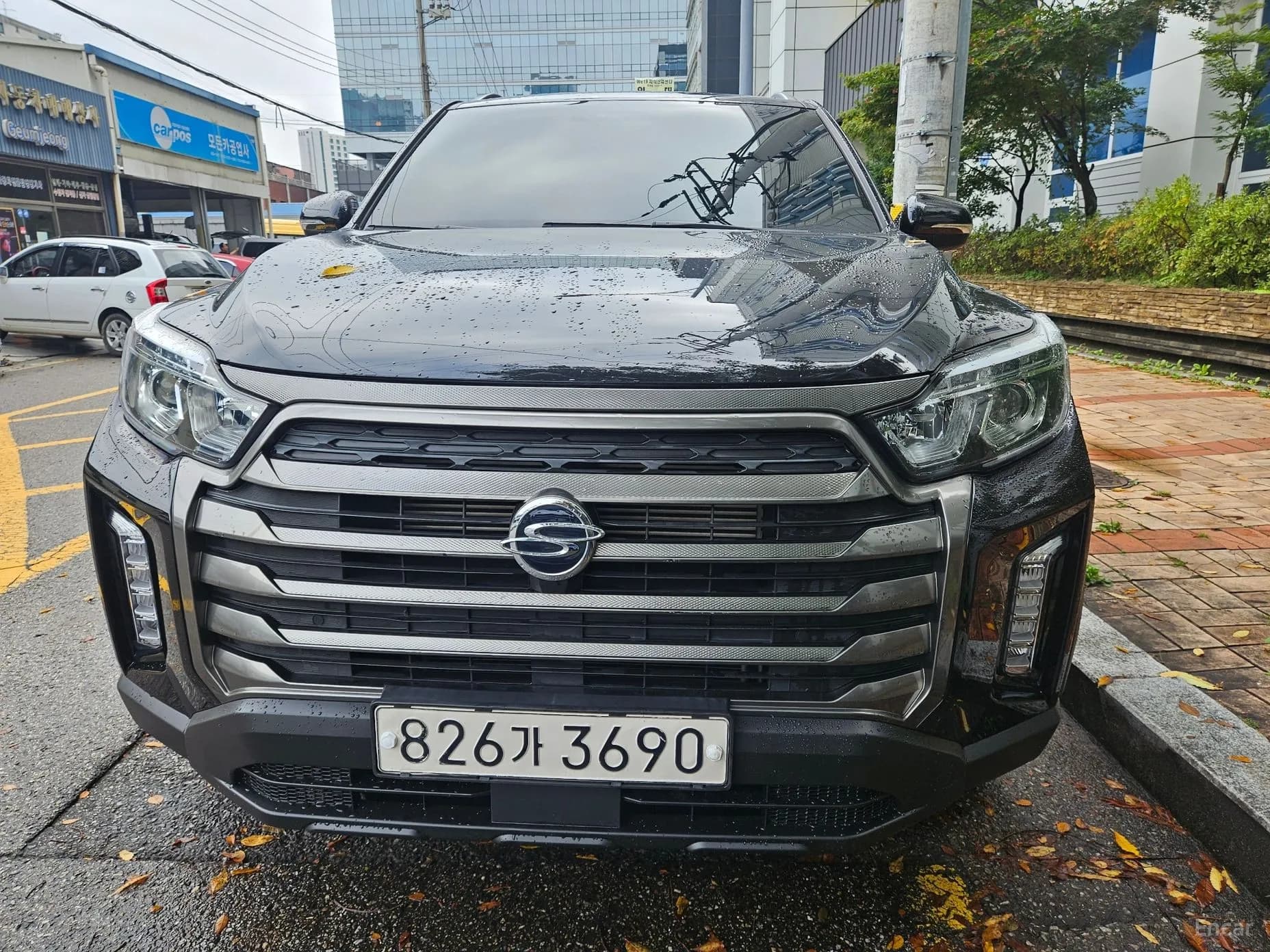 Rexton Sports