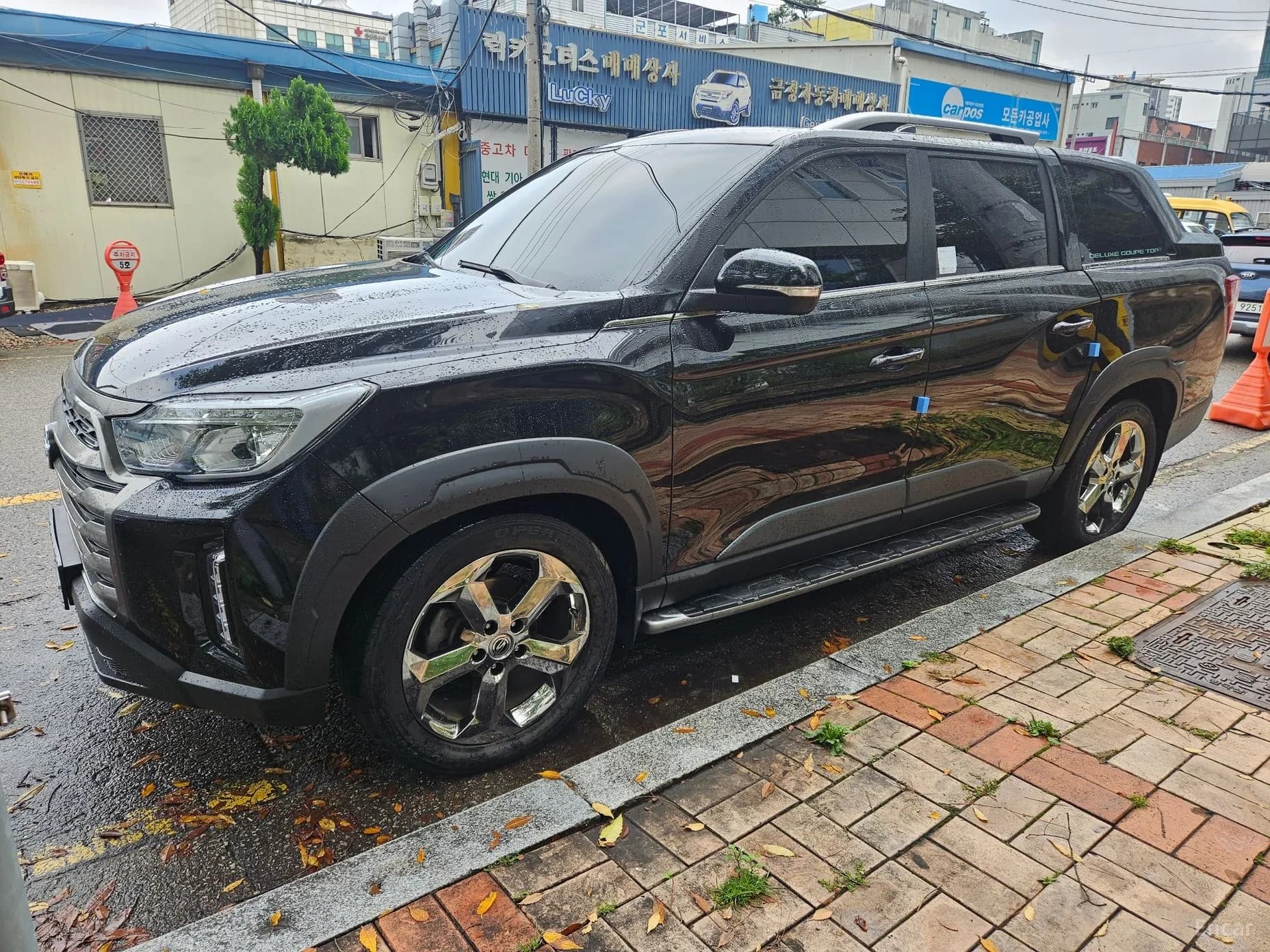 Rexton Sports