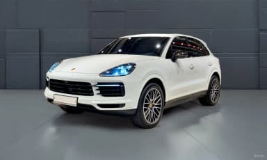 Cayenne (PO536)
