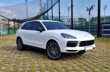 Cayenne (PO536)