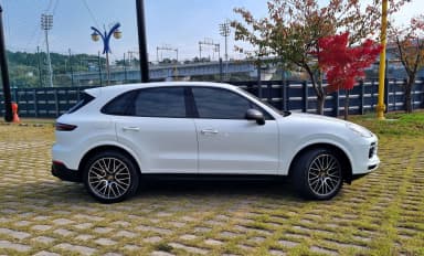 Cayenne (PO536)
