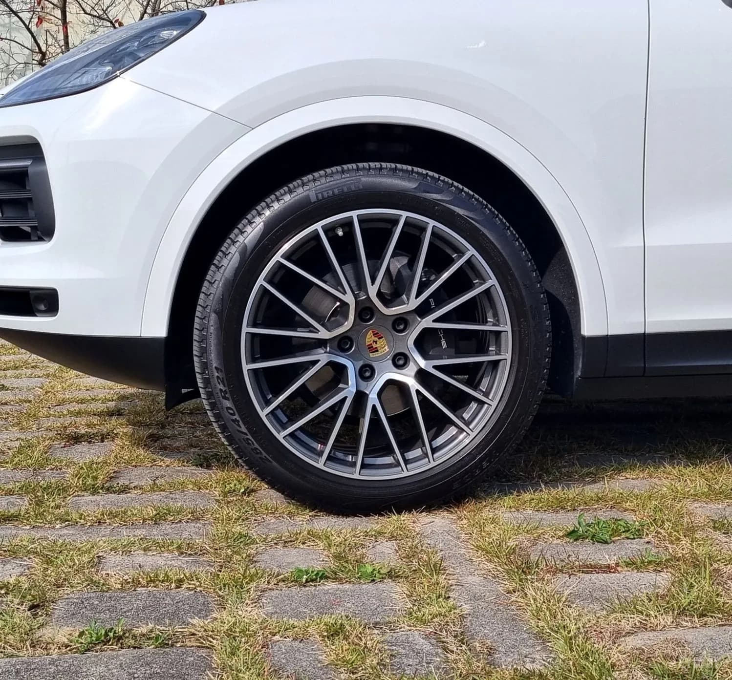 Cayenne (PO536)
