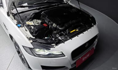 XF (x260)