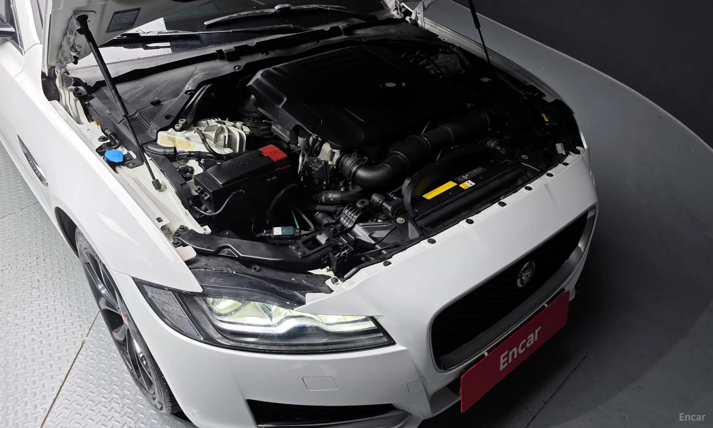 XF (x260)