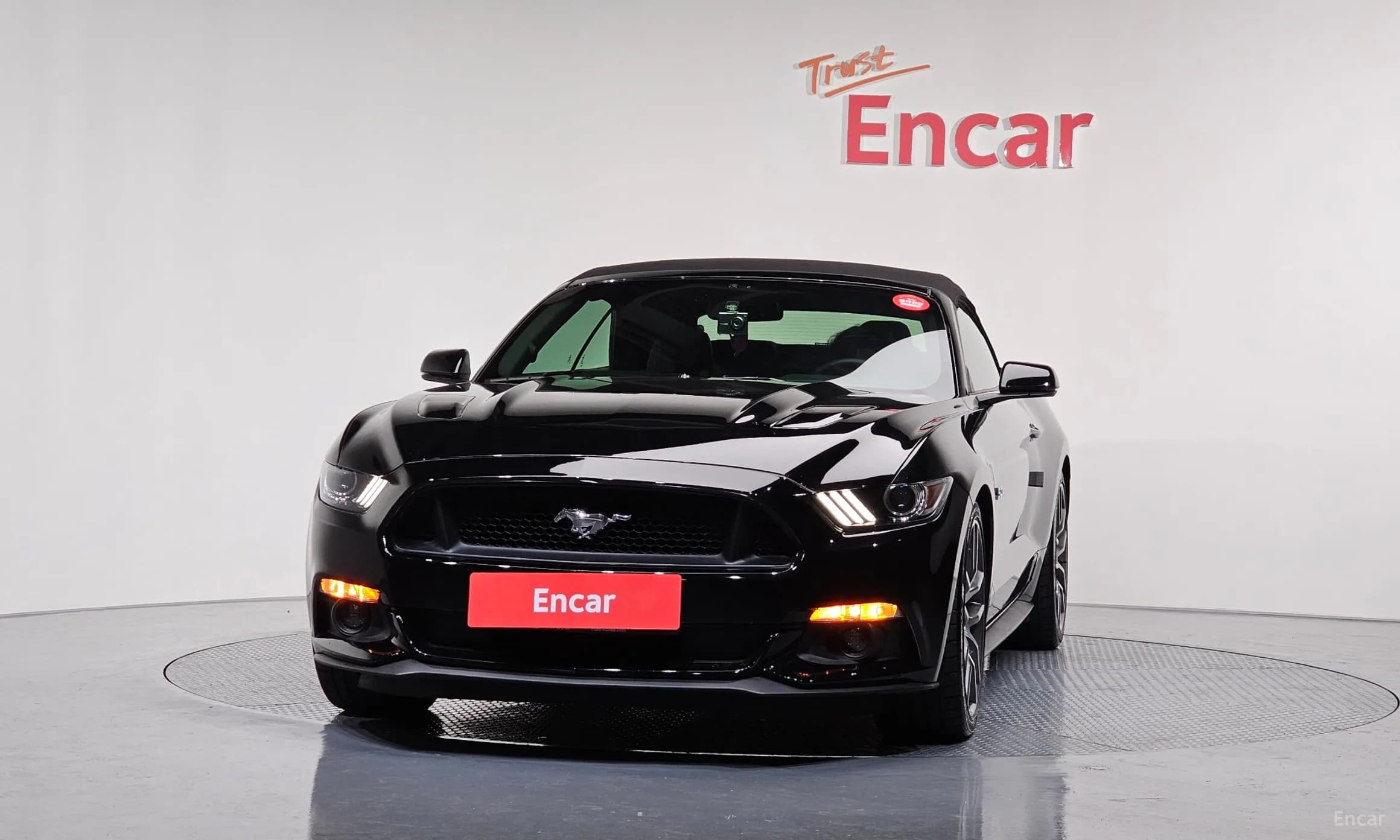 Mustang