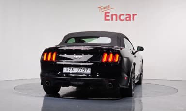 Mustang