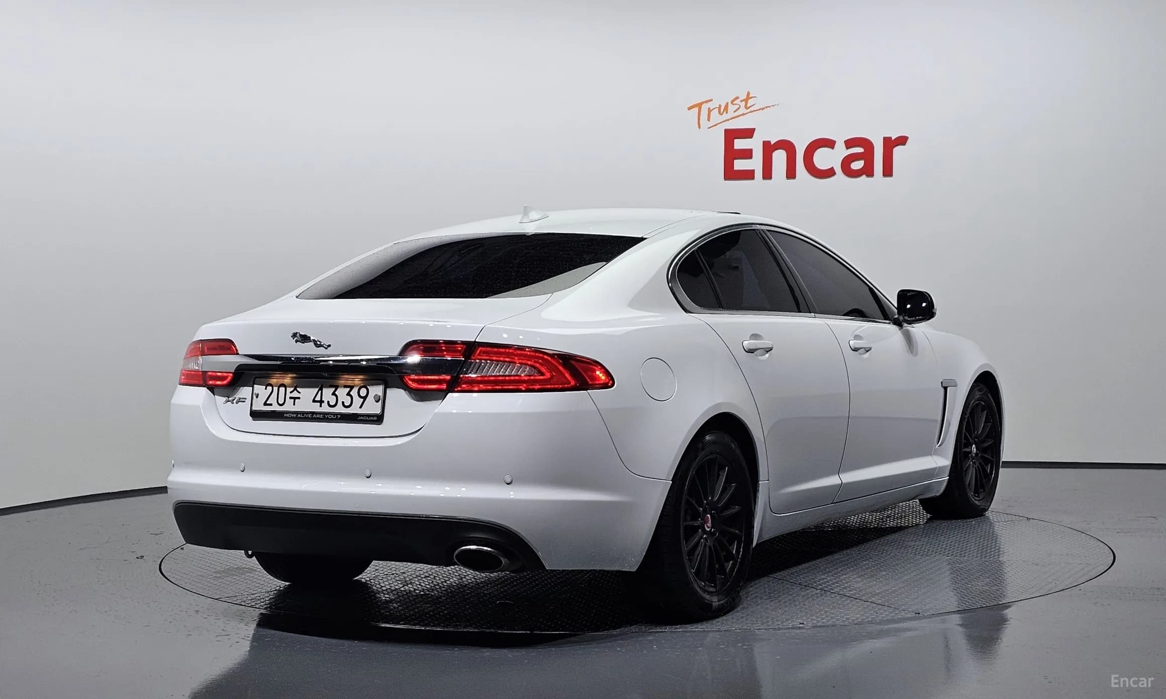 New XF