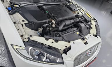 New XF