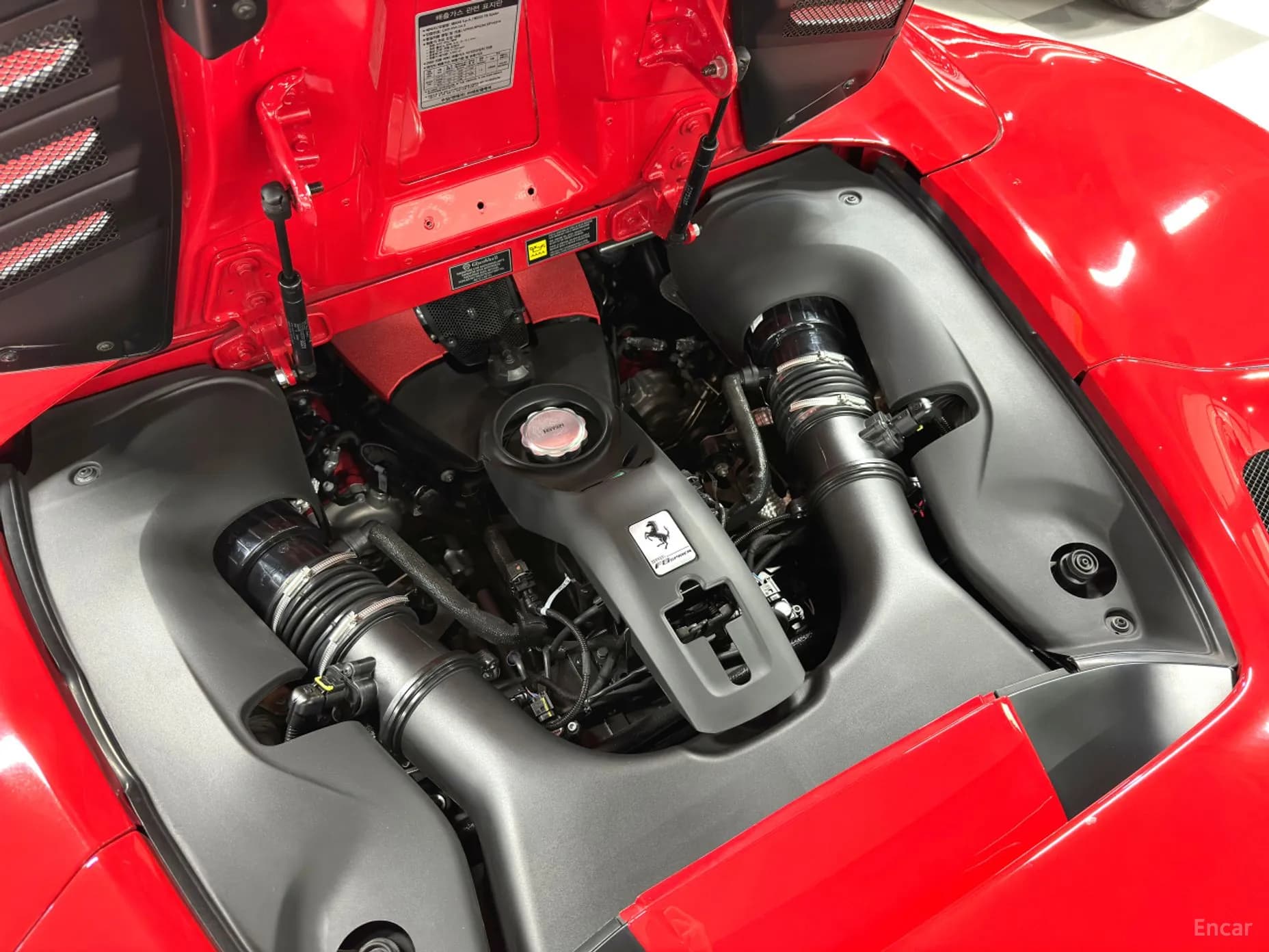 F8 Spider