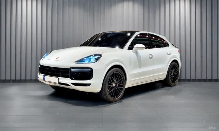 Cayenne (PO536)